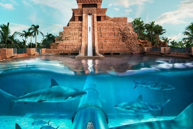 atlantic-aquaventure-water-park-dubai-uae-shared_1